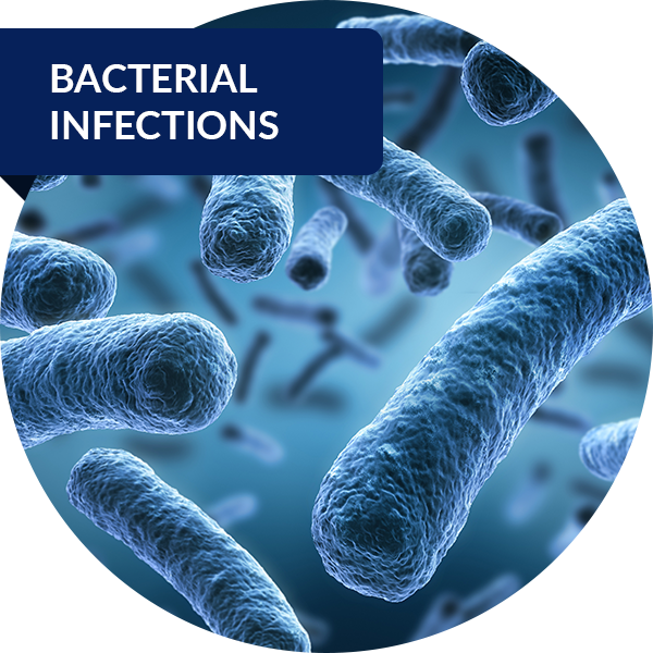 citriclabs | Top 10 Azithromycin Injection Brands in India